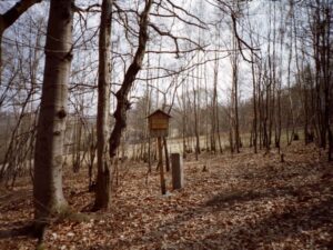 Lesnická ekologická stezka u Kostelce nad Černými lesy