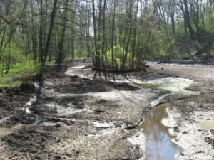 Naučná stezka Vinořský park - Satalická bažantnice