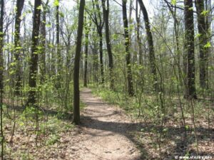 Naučná stezka Vinořský park - Satalická bažantnice